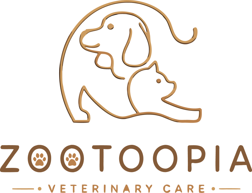 zootoopia final